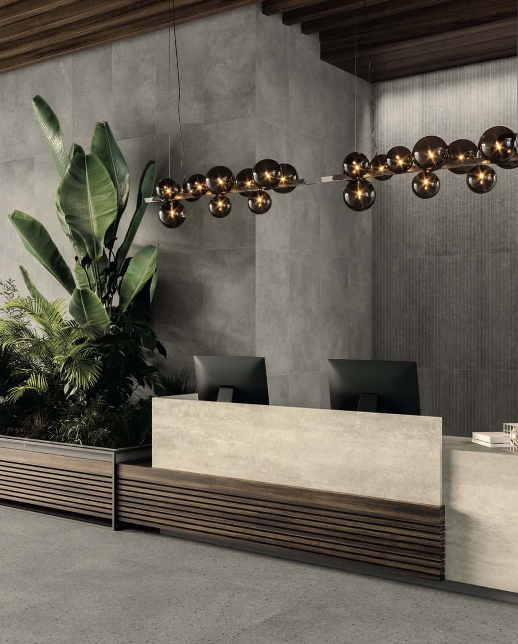 Caesar CiViC (Product Image)